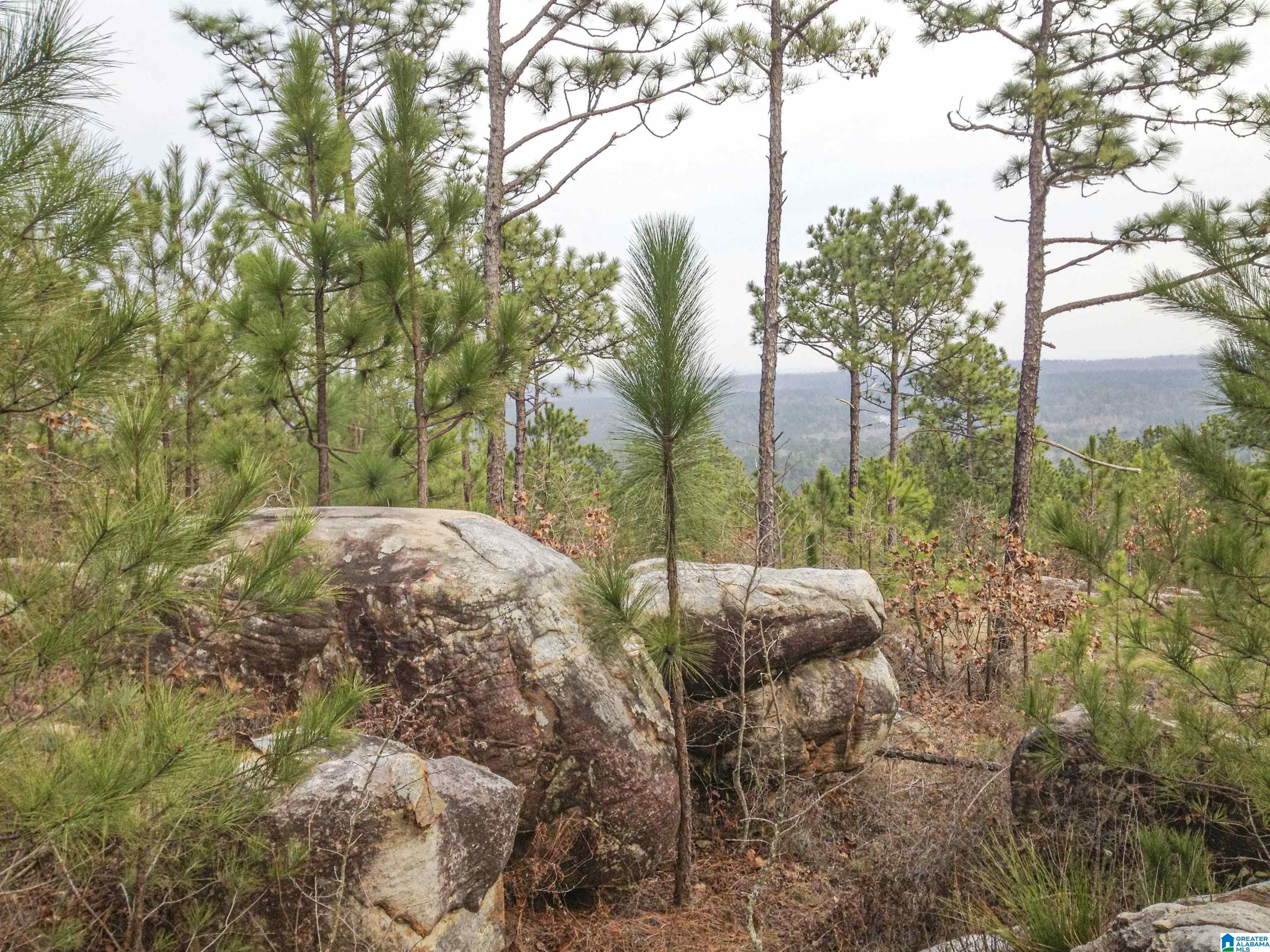 16005 Highway 55 Sterrett Al, Unit 53 AC / Sterrett, AL 35147 - Photo 6 of 9
