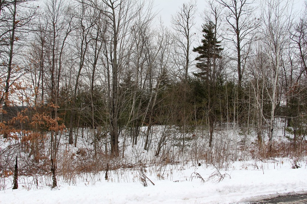0 Long Hill Road Hollis, NH 03049 - Photo 1 of 4
