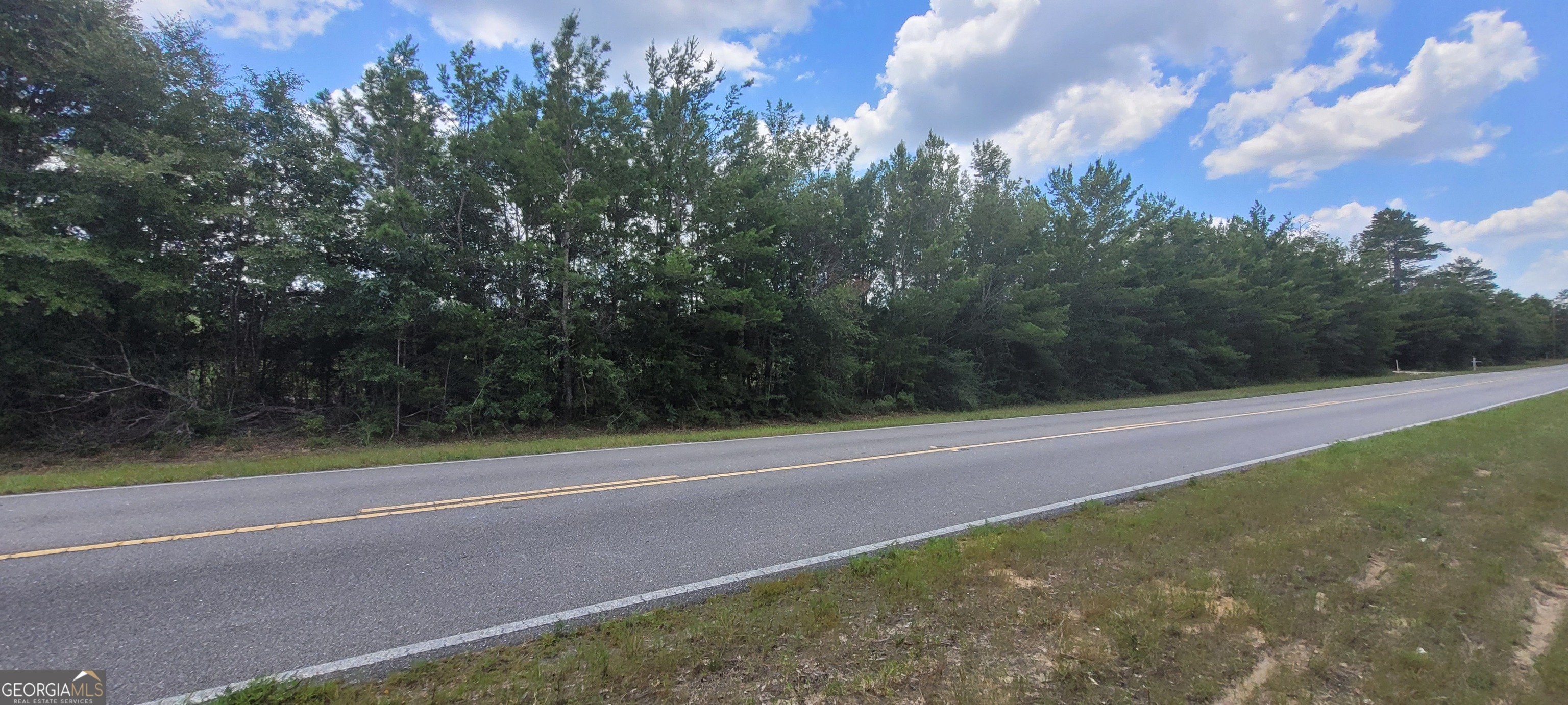 10.29-acres Holmes Valley Road Vernon, FL 32462 - Photo 8 of 13 a view of a yard with a trees