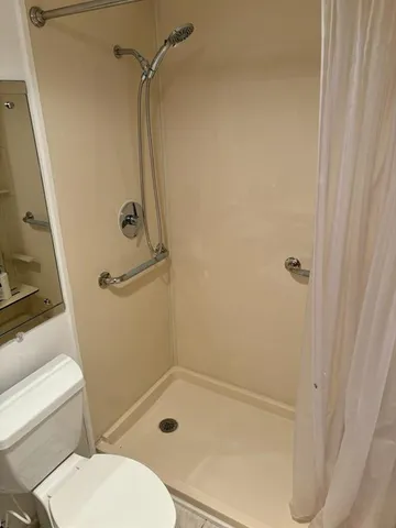 a bathroom with a shower and toilet