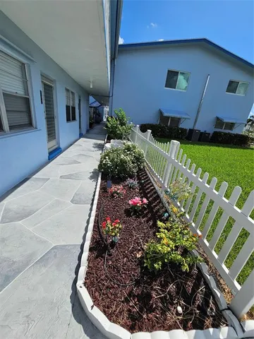 a view of a backyard with plants
