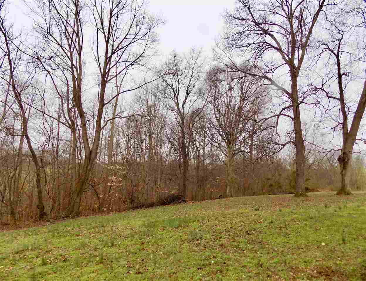 267 Blunt Ford Road Adolphus, KY 42120 - Photo 14 of 18 Gallery Image 14