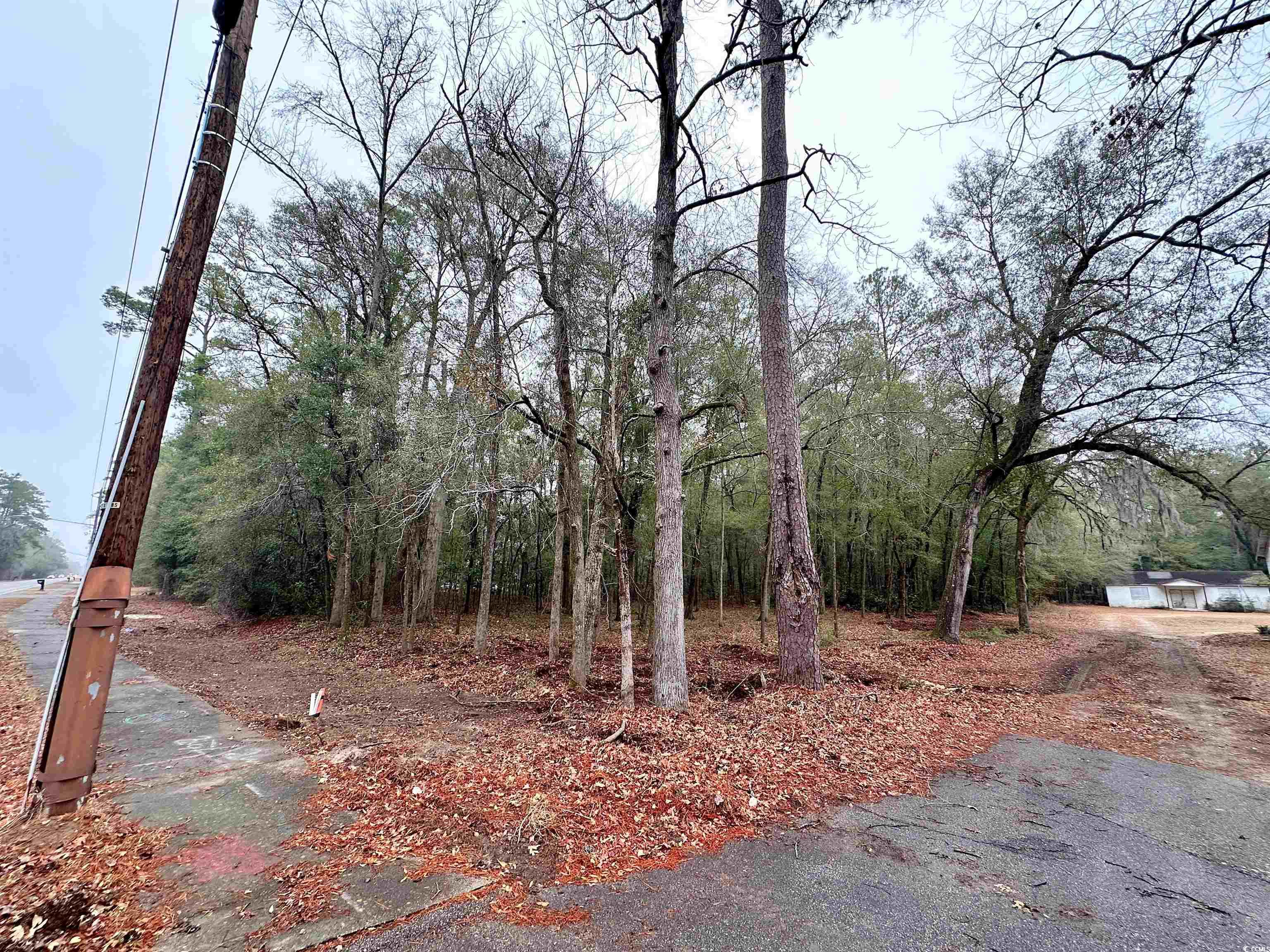 Tbd North Main Street Nichols, SC 29581 - Photo 2 of 9