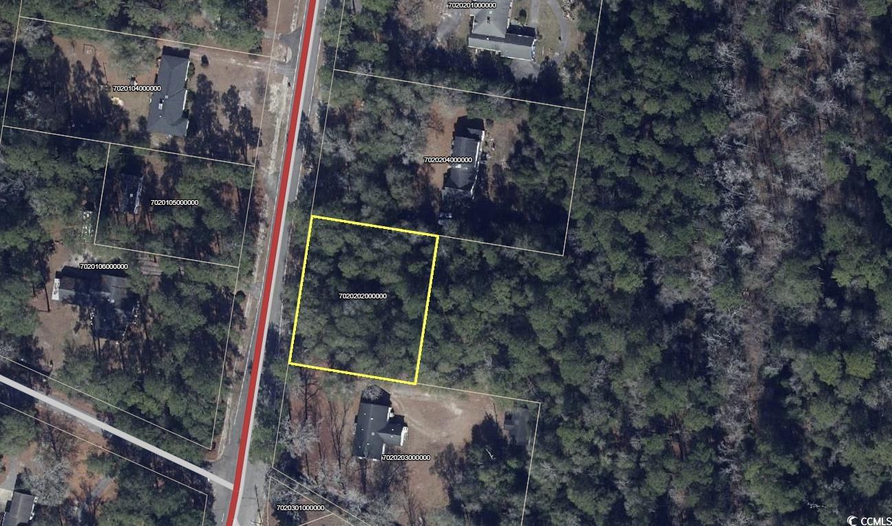 Tbd North Main Street Nichols, SC 29581 - Photo 6 of 9