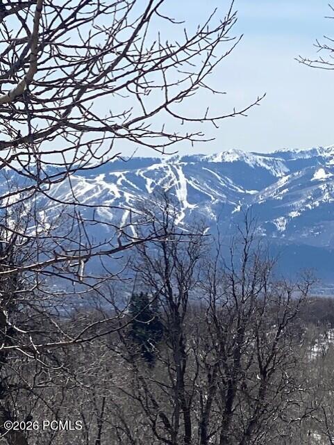 2604 South Forest Meadow Road Coalville, UT 84017 - Photo 10 of 28