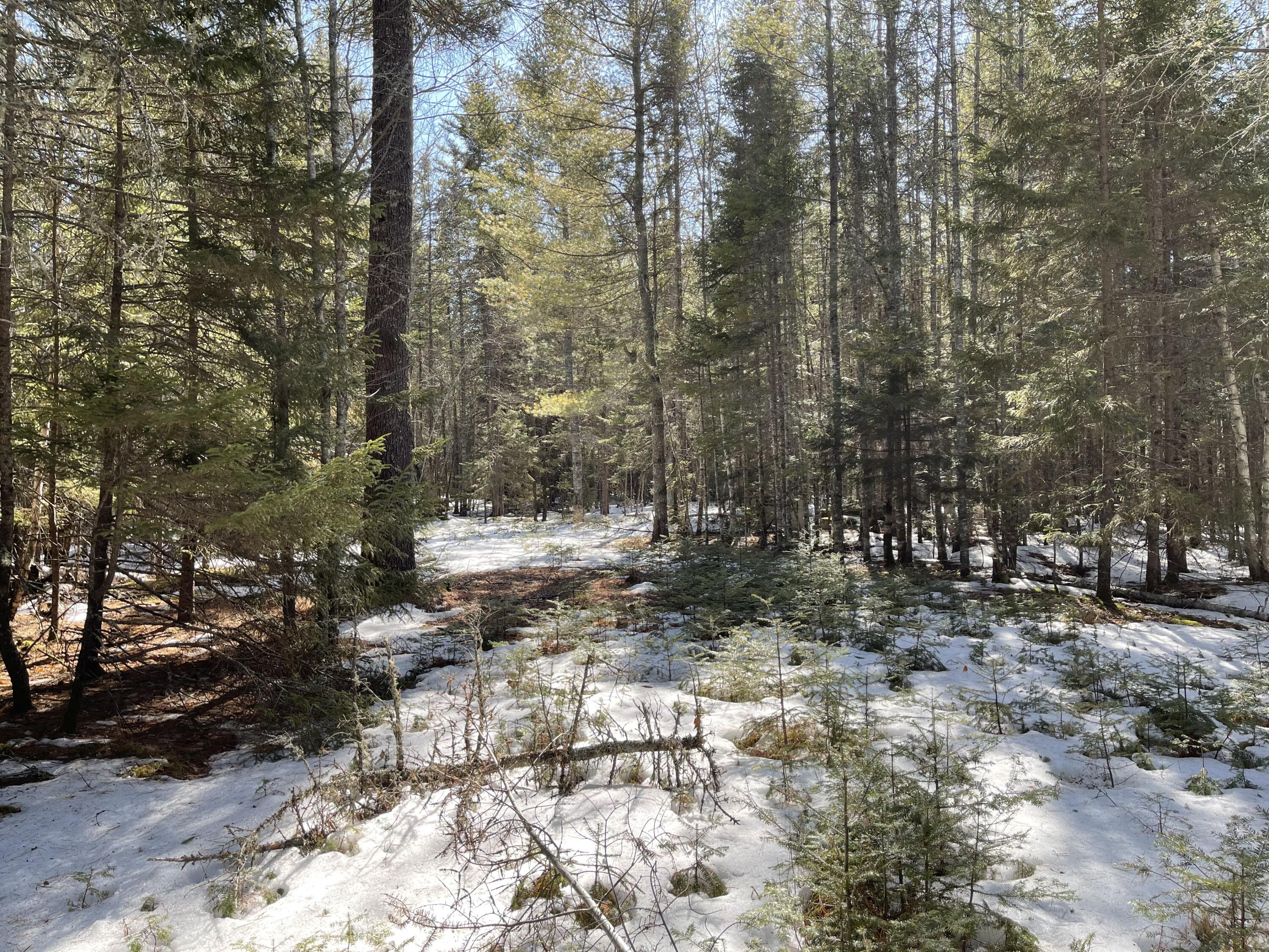 63-64 Kettle Ridge Northfield, ME 04654 - Photo 16 of 19 IMG-0791