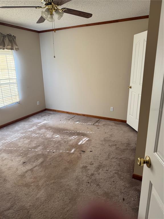 17011 Alderman Turner Road Wimauma, FL 33598 - Photo 11 of 16