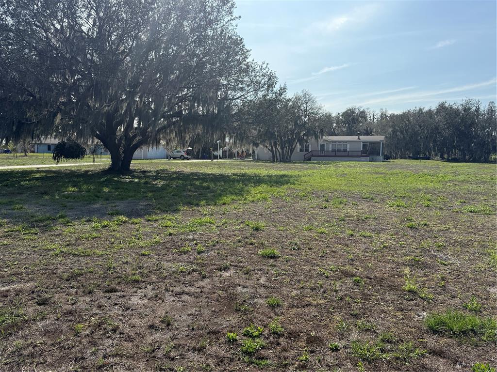 17011 Alderman Turner Road Wimauma, FL 33598 - Photo 3 of 16