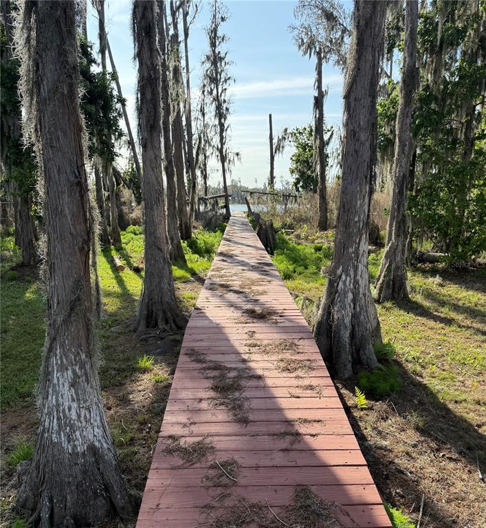 17011 Alderman Turner Road Wimauma, FL 33598 - Photo 4 of 16