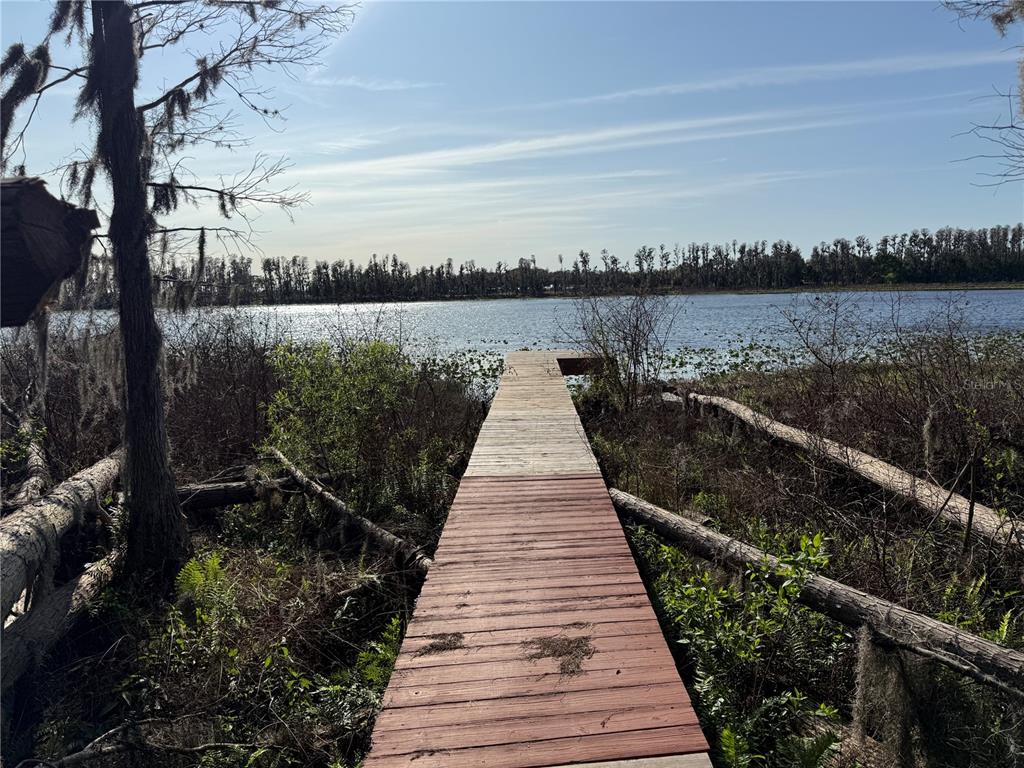 17011 Alderman Turner Road Wimauma, FL 33598 - Photo 5 of 16