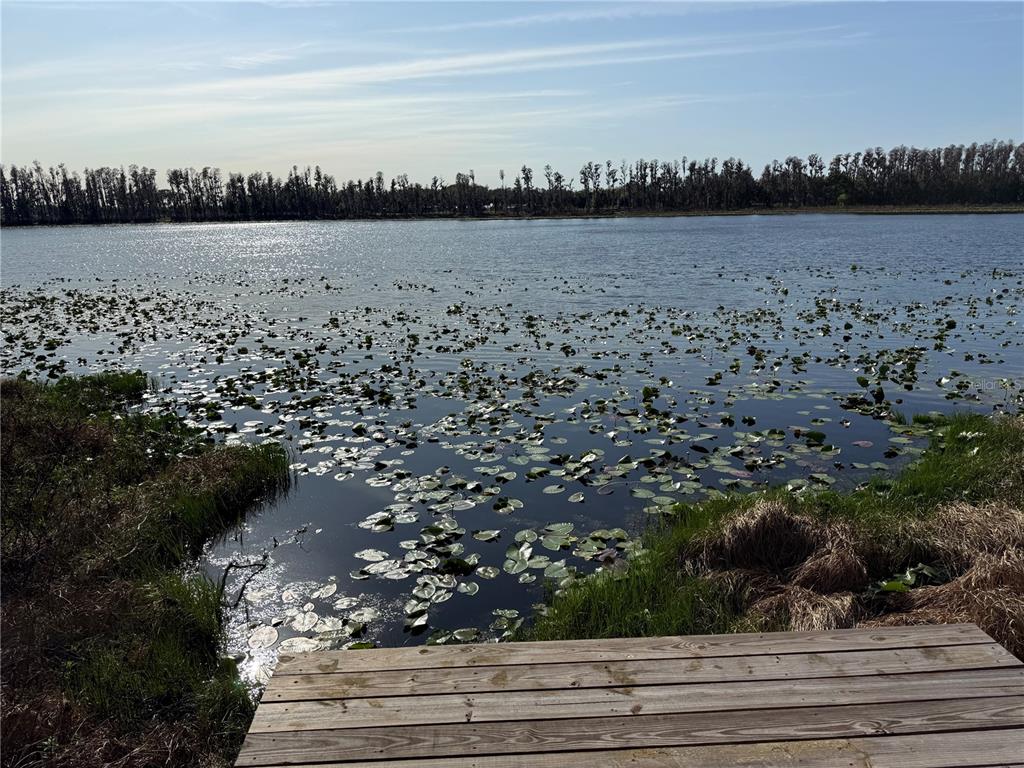 17011 Alderman Turner Road Wimauma, FL 33598 - Photo 6 of 16