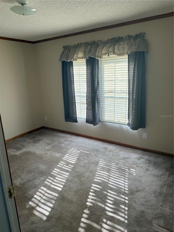 17011 Alderman Turner Road Wimauma, FL 33598 - Photo 9 of 16