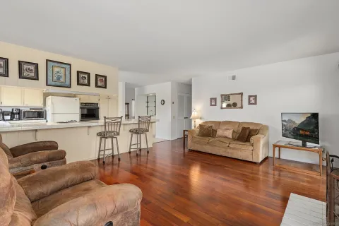 a living room with furniture window and wooden floor