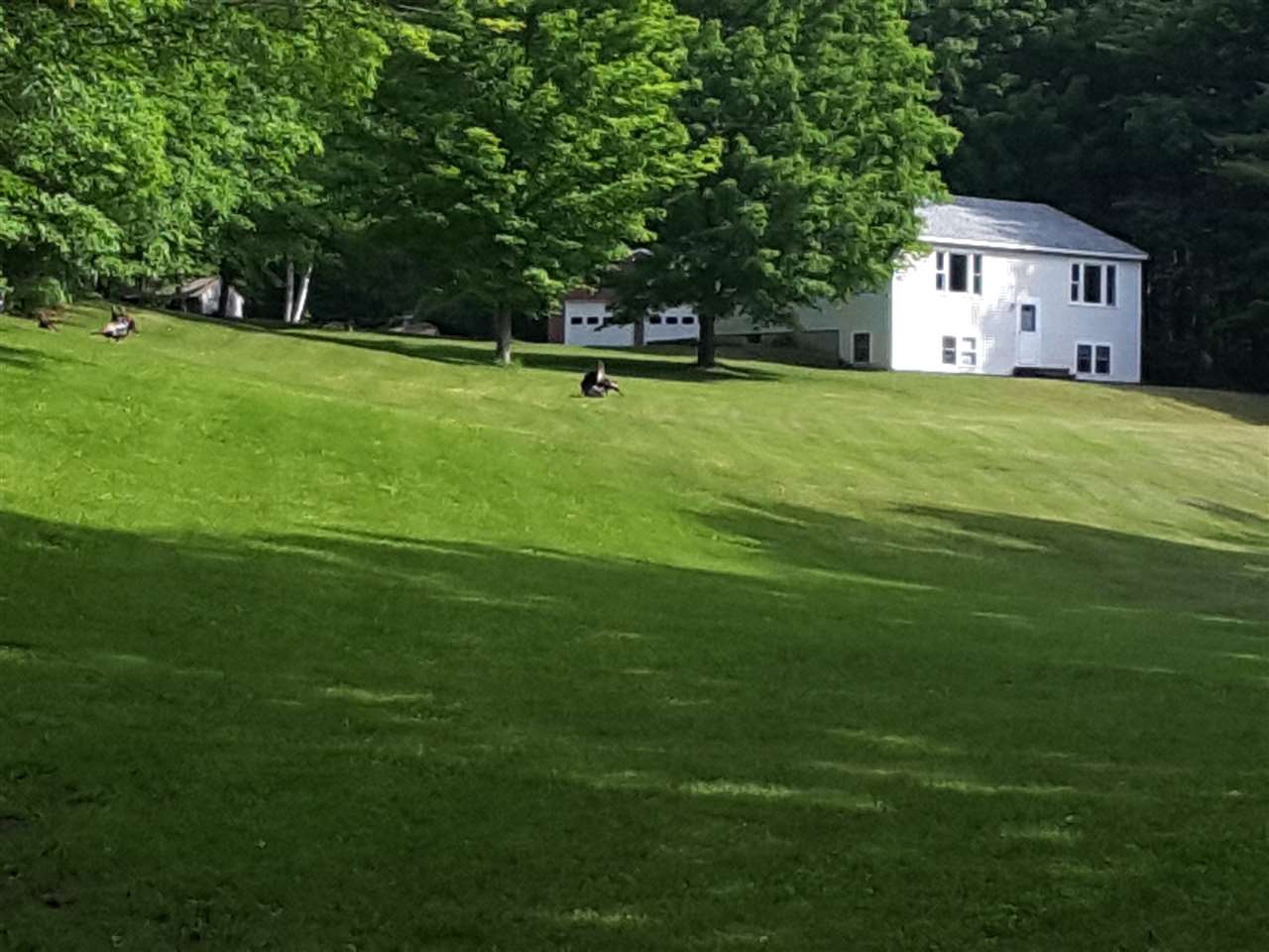 55 Storrs Drive Loudon, NH 03307 - Photo 1 of 40