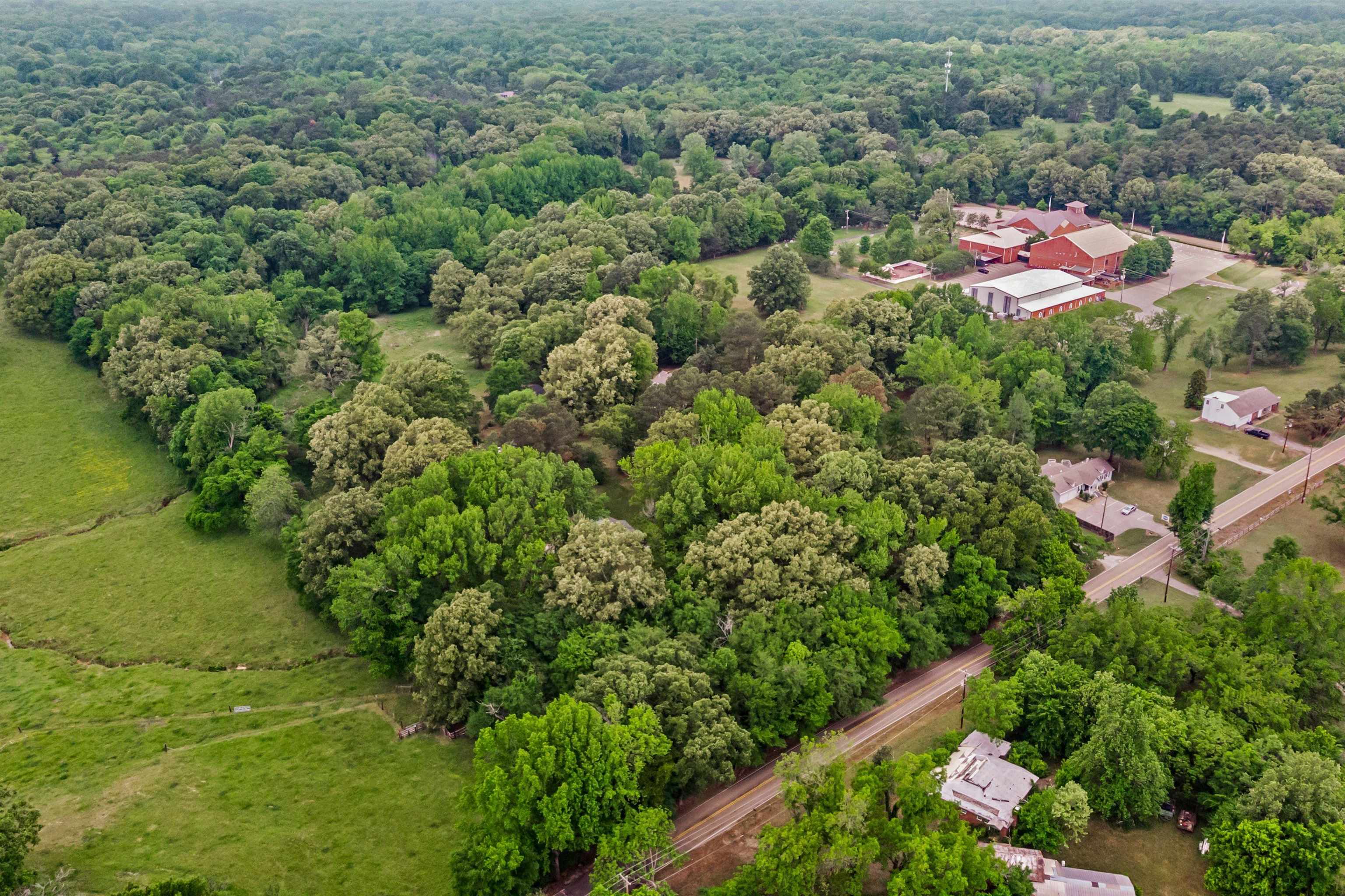 1147 North Collierville Arlington Road Collierville, TN 38017 - Photo 6 of 17 Aerial perspective showcasing extensive wooded acreage with varied tree canopy