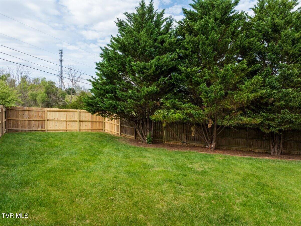 207 Azalea Ridge Johnson City, TN 37601 - Photo 36 of 80 12-WBP-Azalea-9