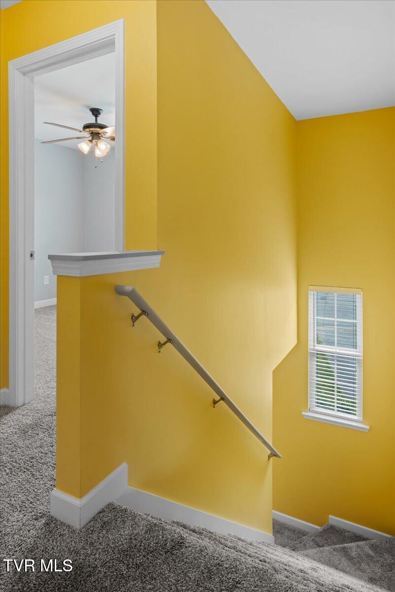 207 Azalea Ridge Johnson City, TN 37601 - Photo 41 of 80 45-WBP-Azalea-45