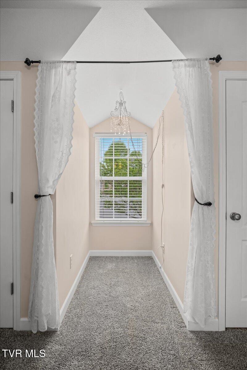 207 Azalea Ridge Johnson City, TN 37601 - Photo 62 of 80 50-WBP-Azalea-50