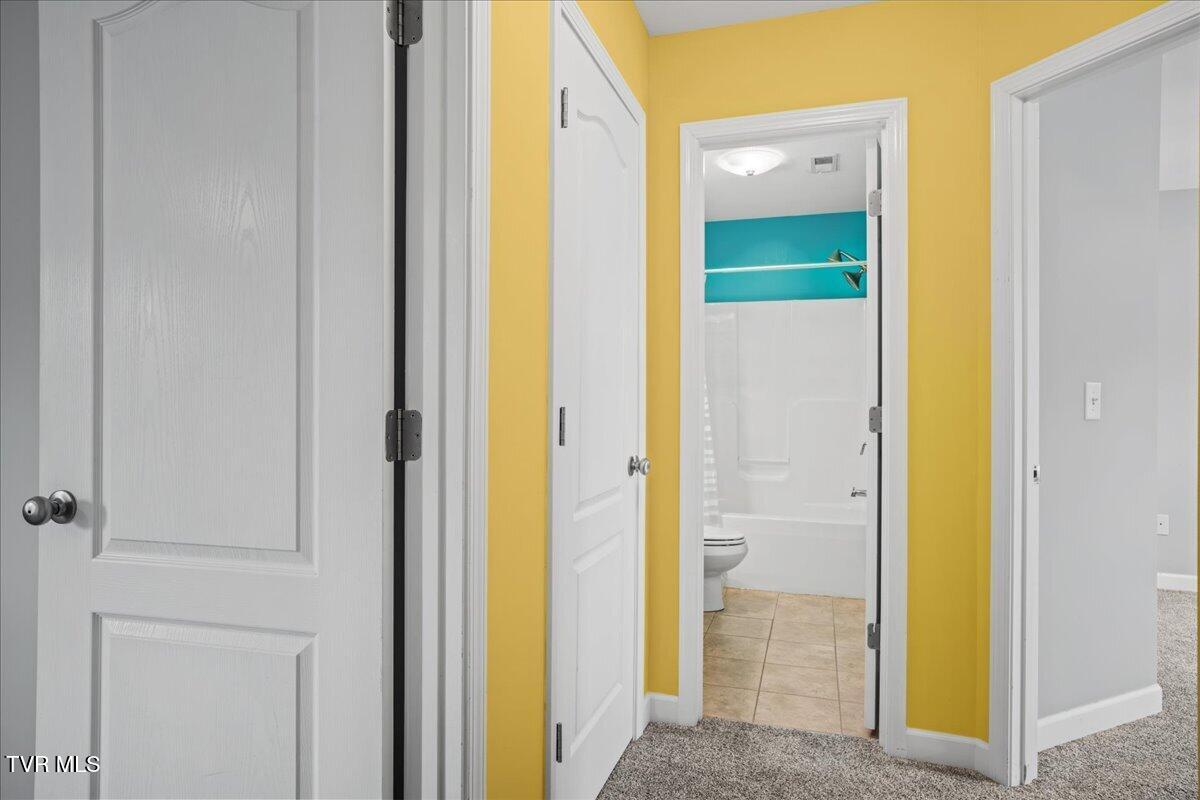 207 Azalea Ridge Johnson City, TN 37601 - Photo 63 of 80 53-WBP-Azalea-53