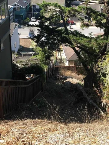 a street view with tall trees