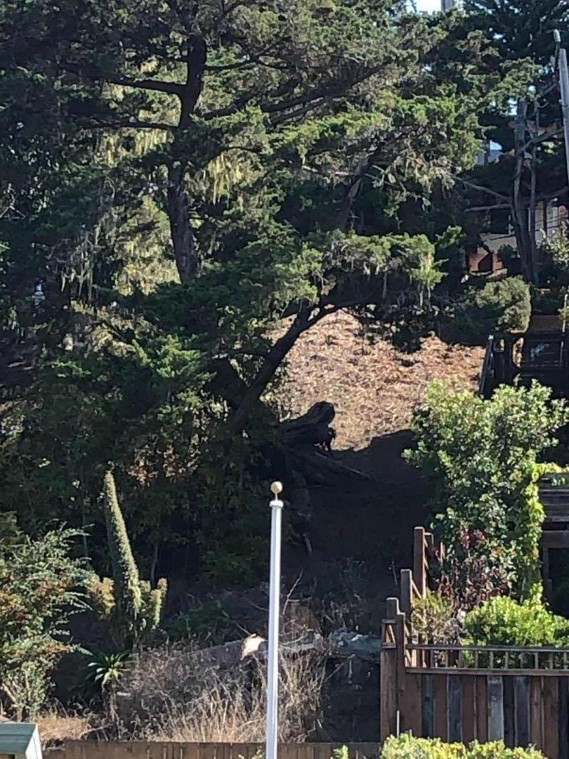 1 Columbus Street El Granada, CA 94018 - Photo 8 of 8