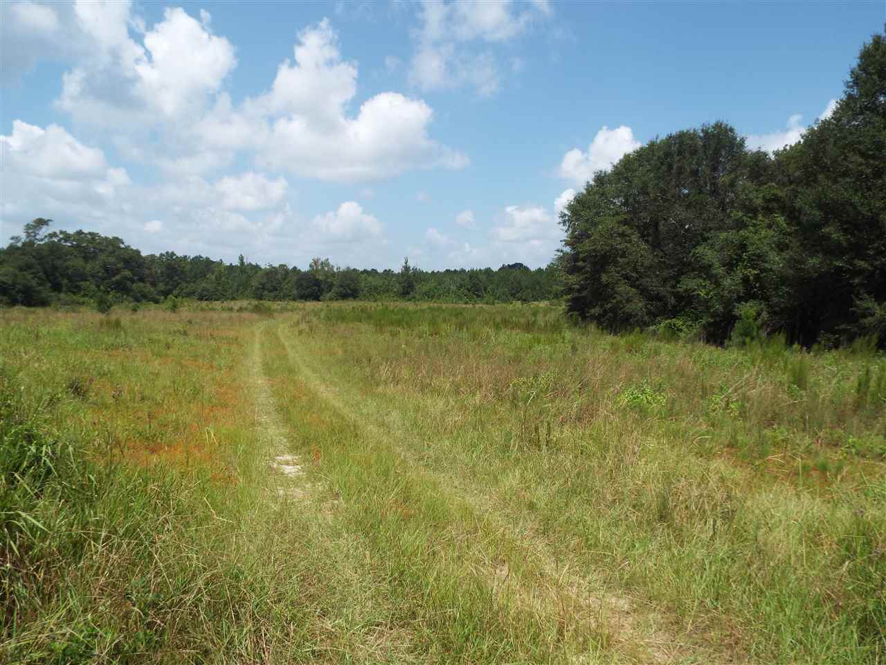 0 Cotton Road Flomaton, AL 36441 - Photo 5 of 6 Gallery Image 5
