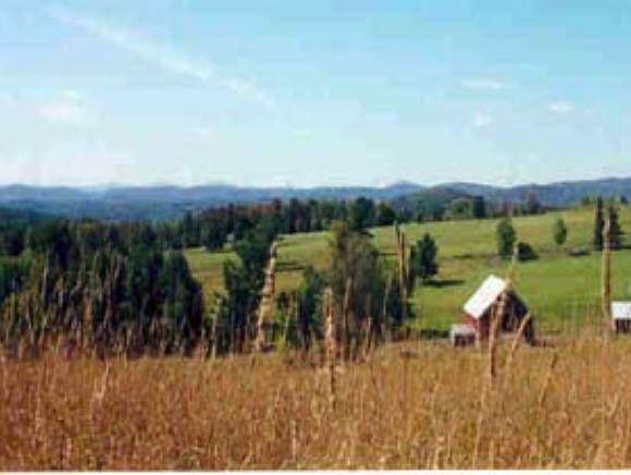 45.5 Landaff Center Road Landaff, NH 03585 - Photo 1 of 1