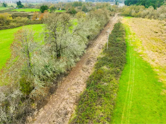 a view of a lake with a large trees
