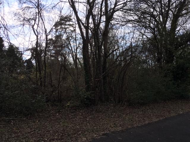 Snapp Road Louisville, TN 37777 - Photo 3 of 4 5