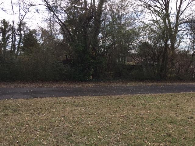 Snapp Road Louisville, TN 37777 - Photo 4 of 4 7