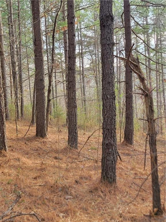 1671 Bowen Road Pinnacle, NC 27043 - Photo 11 of 18