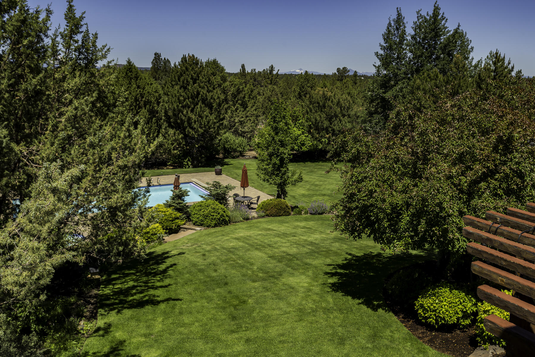 61445 Gosney Road Bend, OR 97702 - Photo 73 of 83 a view of a garden with a tree