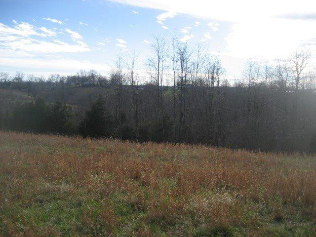 1370 Mays Road Lawrenceburg, KY 40342 - Photo 18 of 24 Photo 18