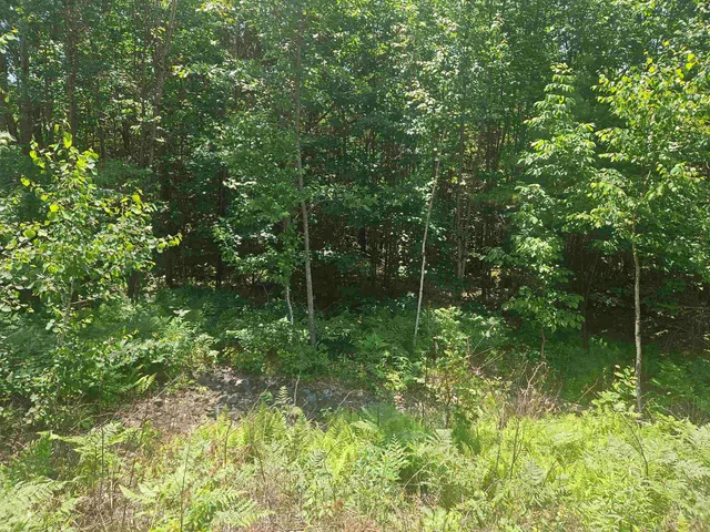 $129,999 | 9 Lady Slipper Lane, Moultonborough, NH 03254