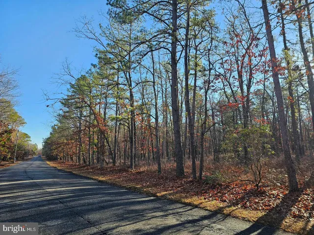 a view of a yard with large trees
