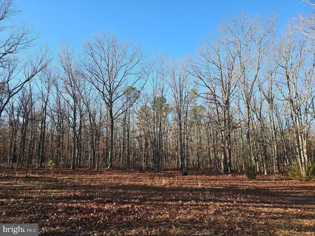 a view of a road with a building in the background
