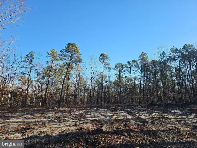 a view of a backyard with large trees