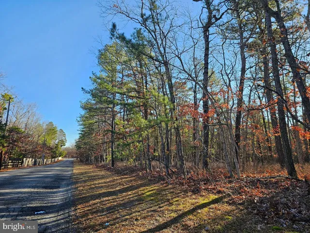 a view of a backyard with trees