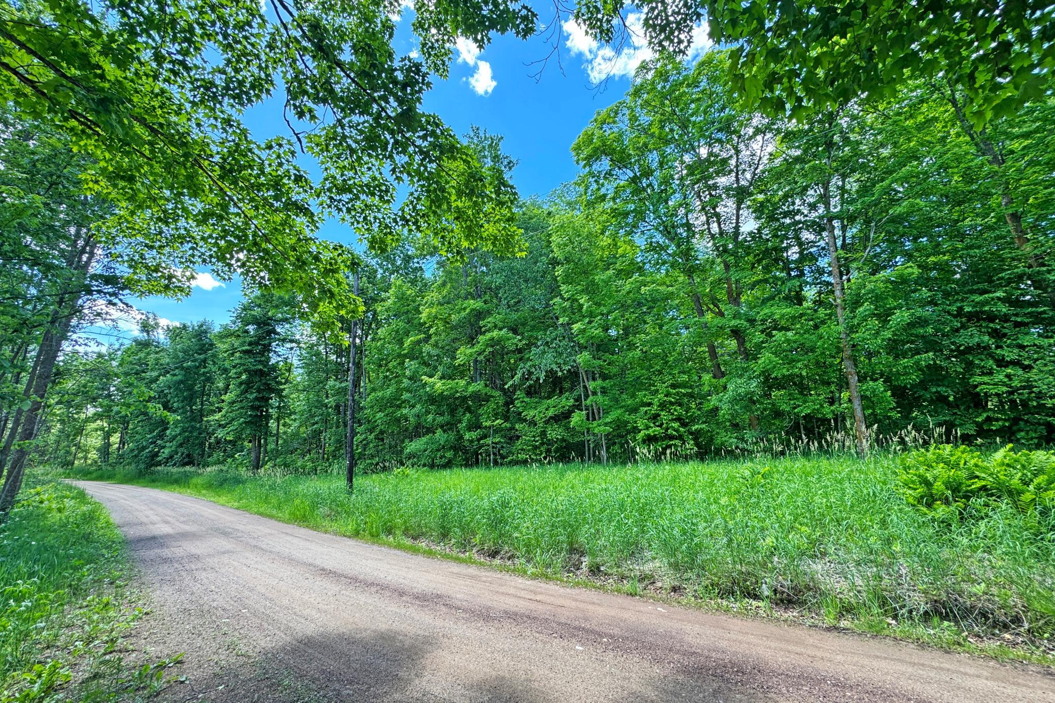 0 Perry Lake Road Crosby, MN 56441 - Photo 19 of 42
