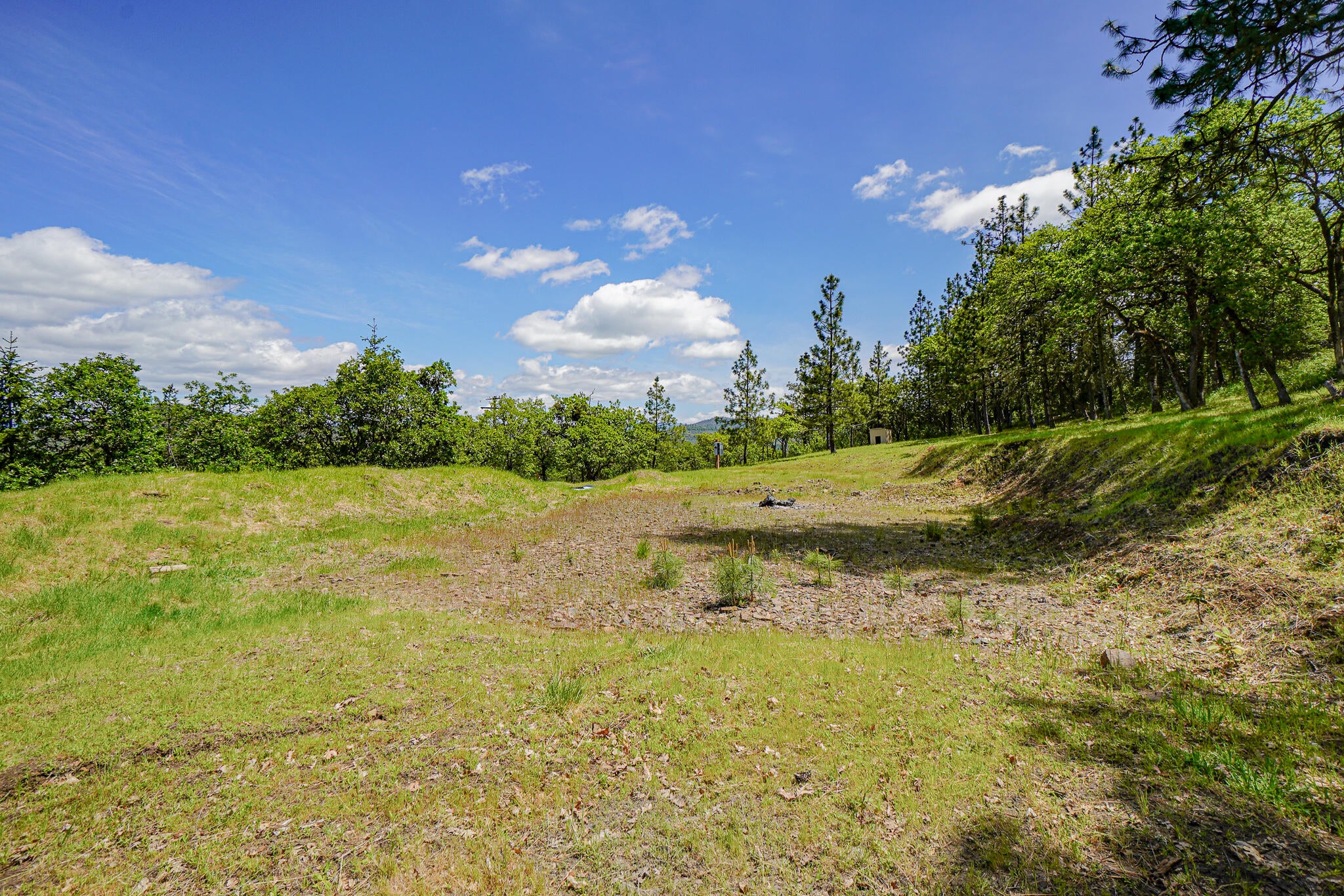 1729 Wren Ridge Drive Eagle Point, OR 97524 - Photo 8 of 21 DSC09558