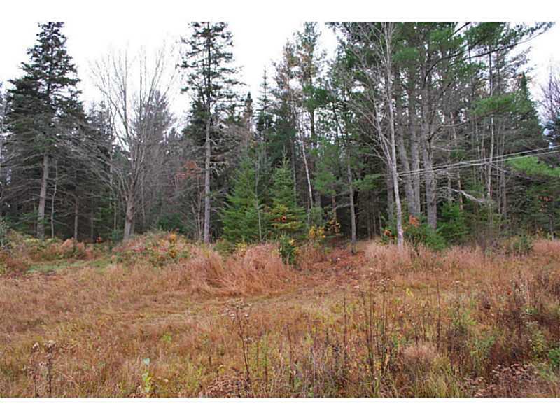 19 New England Road Abbot, ME 04406 - Photo 8 of 32 Land.