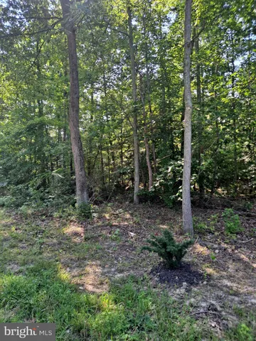 $99,900 | Poseytown, Nanjemoy, MD 20662