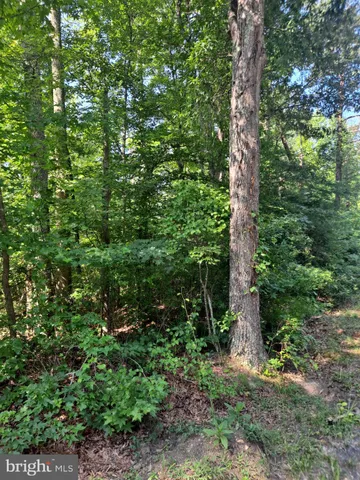 $99,900 | Poseytown, Nanjemoy, MD 20662