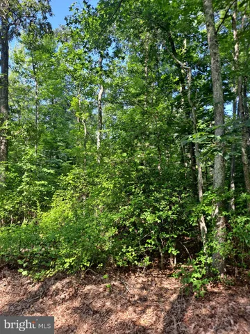 $99,900 | Poseytown, Nanjemoy, MD 20662