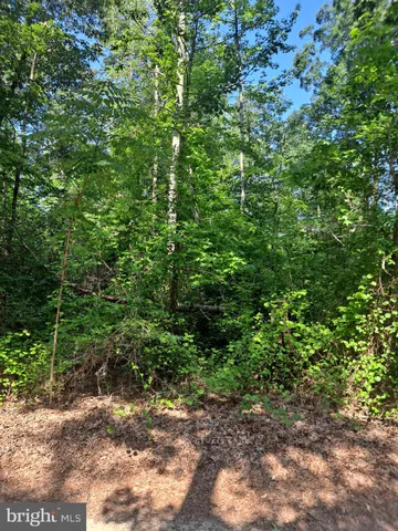 $99,900 | Poseytown, Nanjemoy, MD 20662