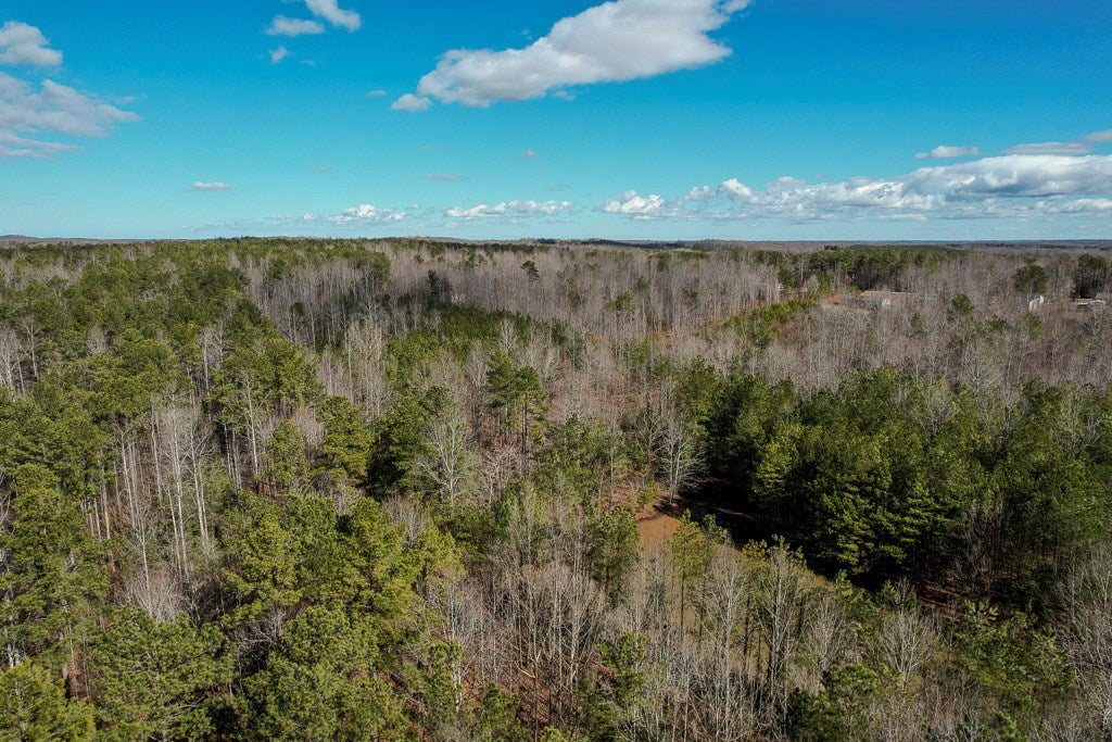 Scotts Bottom Road, Unit 17 Dillwyn, VA 23936 - Photo 13 of 31 Gallery Image 13