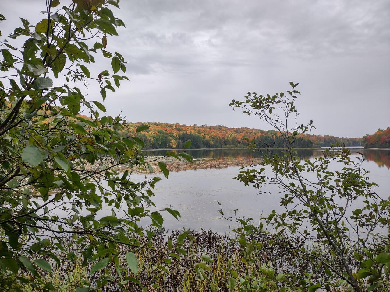 Near Pomeroy Lk Road, Unit 28 Marenisco, MI 49947 - Photo 8 of 13 Gallery Image 8