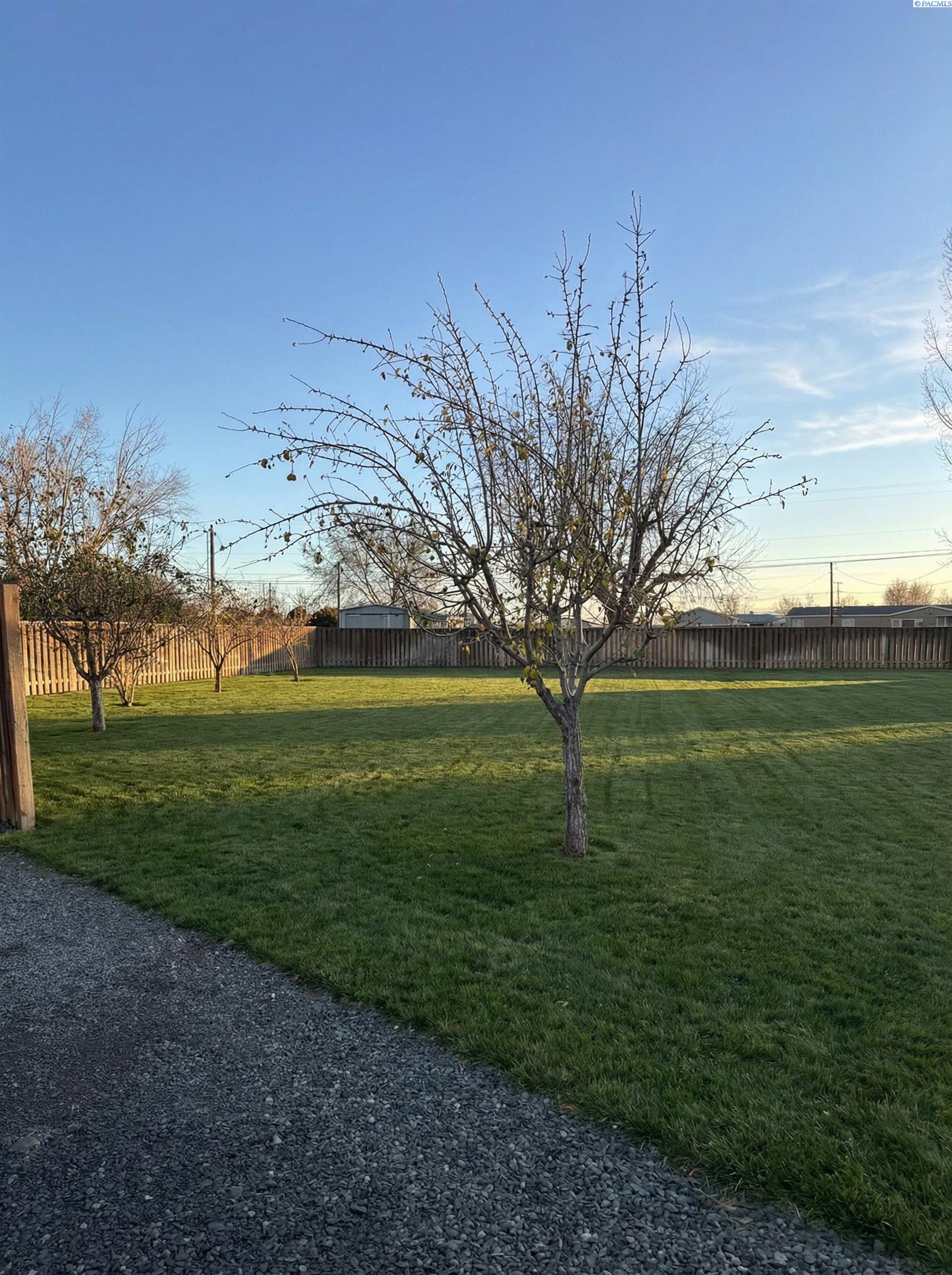 205902 East Schuster Road Kennewick, WA 99337 - Photo 26 of 49 Gallery Image 26