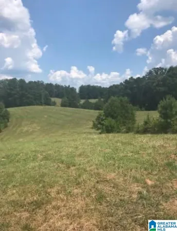 $450,000 | 0 County Road 454, Unit 1, Clanton, AL 35045