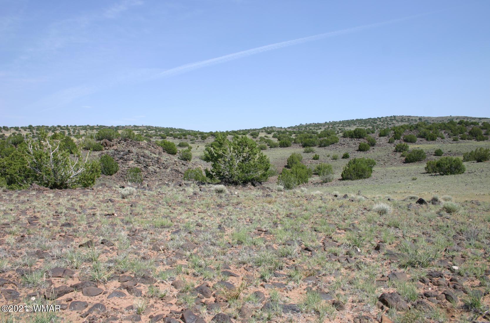 Lot 77 Big Valley Ranch Concho, AZ 85924 - Photo 1 of 7